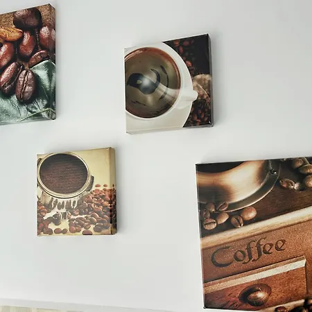 Apartment X Oasis Bucharest