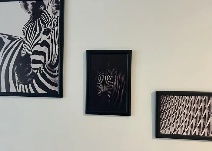 X Oasis 아파트 부쿠레슈티