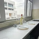 X Oasis 부쿠레슈티