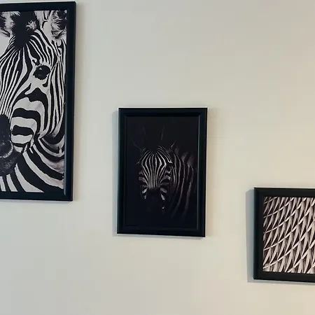 X Oasis Apartament Bukareszt