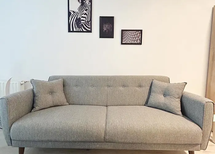 Apartament X Oasis *