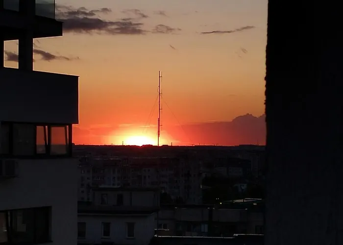 X Oasis * ブカレスト